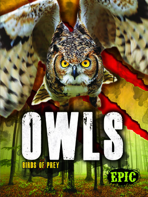 cover image of Owls